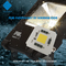 100W AC LED CHIP Πλήρες φάσμα Λευκό 3000k 6000k High Cri AC COB LED Chip